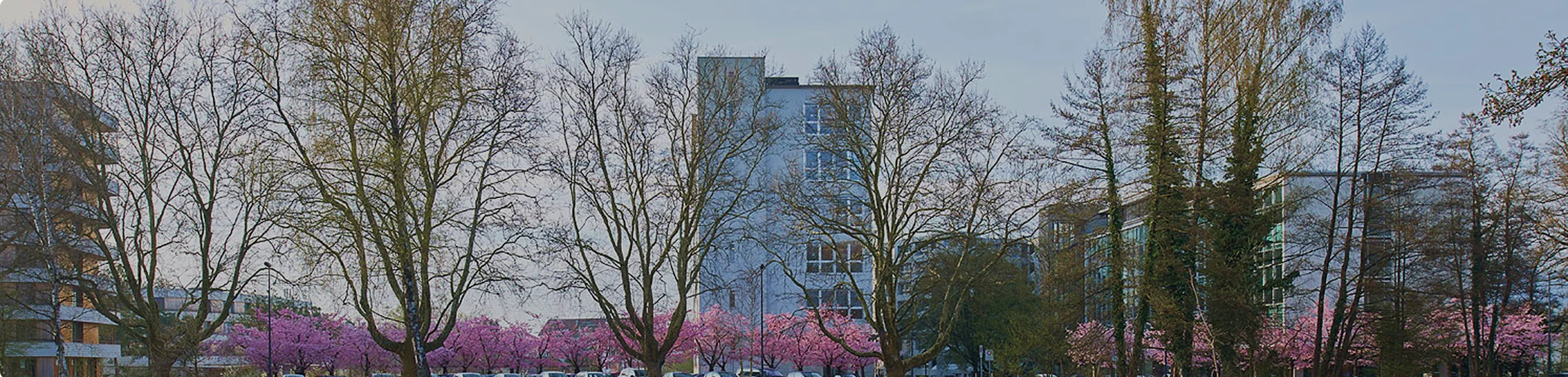 Aussenansicht des Sedax-Bürogebäudes in Uster, umgeben von Bäumen